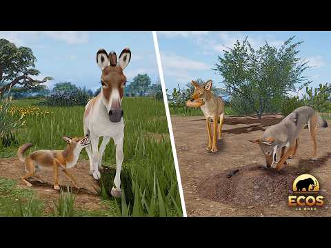 NEW Orcutt's Coyote Testing Update! | ROBLOX Ecos: La Brea