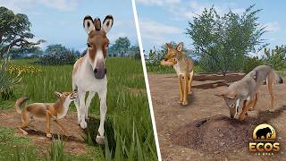 NEW Orcutt's Coyote Testing Update! | ROBLOX Ecos: La Brea