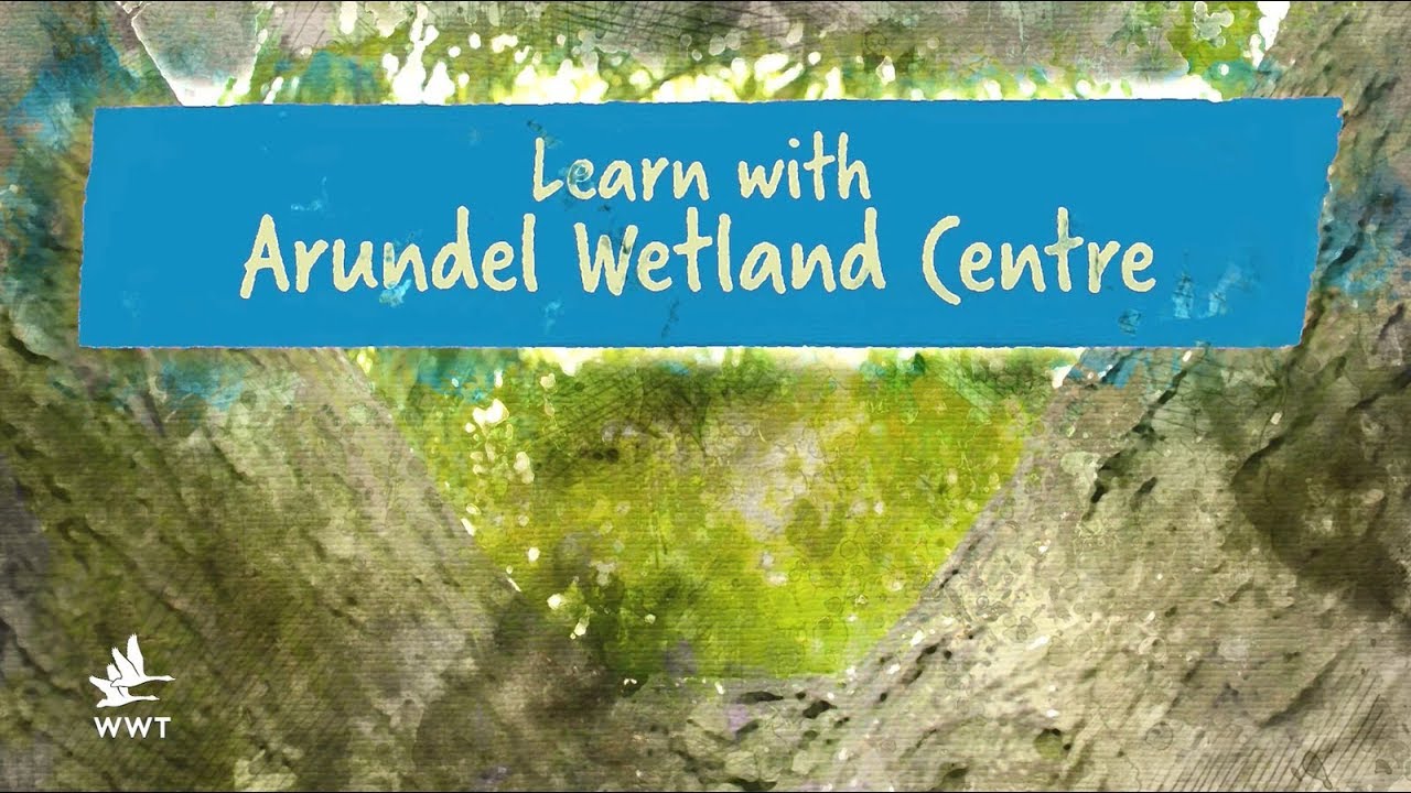 Learn with WWT Arundel