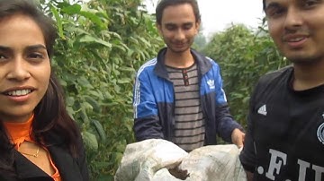 CARD-Nepal brings Soil Testing to Farmers in Chitwan, Nepal