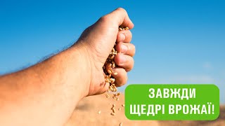 Мікродобрива для пшениці | Cтимулятор росту для пшениці