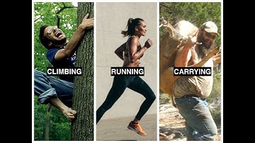 The Three Essential Evolutionary Movements