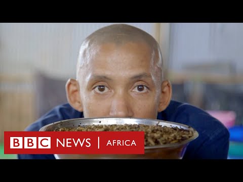 Who knew flies could be this useful? - BBC Africa