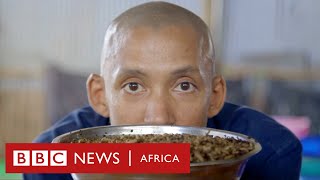 Who knew flies could be this useful? - BBC Africa