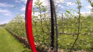Darwin Blossom thinning 2014 - IN THE TRACTOR SEAT