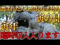 1月13日寅の日！見ると3日以内に奇跡が起こる！