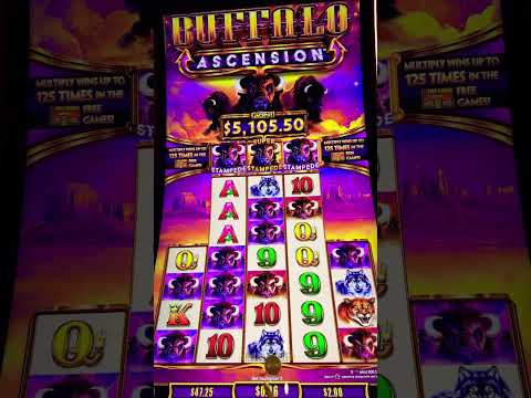 Crushing the Imperial 88 Slot Machine Jackpot