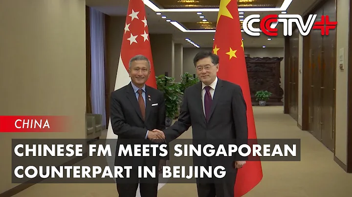 Chinese FM Meets Singaporean Counterpart in Beijing - DayDayNews