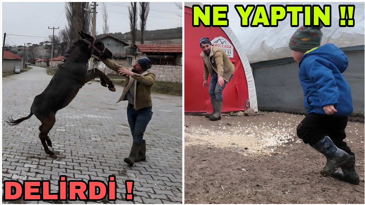 YUSUF SEN NE YAPTIN ? ELEKTİRİKLİ DÜDÜKLÜ.PİSKOPAT YİNE DELİRDİ