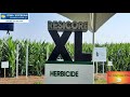 Ag Matters PM Episode 81: Resicore XL Herbicide