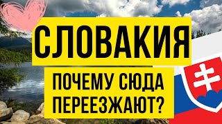 Почему люди выбирают Словакию для жизни? Переезд в Словакию