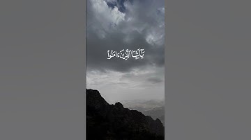 تلاوة مباركة لسورة الأحزاب بصوت القارئ عبدالرحمن الحمادي