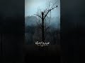 Meri ghumkhari #rahatfatehalikhan #4k #nature #4kresolution #canadaparadise