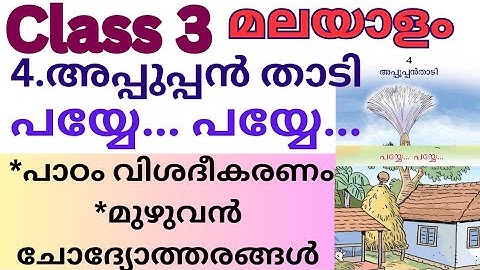 Class 3 മലയാളം 4.അപ്പുപ്പൻ താടി, പയ്യേ... പയ്യേ..., പാഠം വിശദീകരണം, മുഴുവൻ ചോദ്യോത്തരങ്ങൾ 