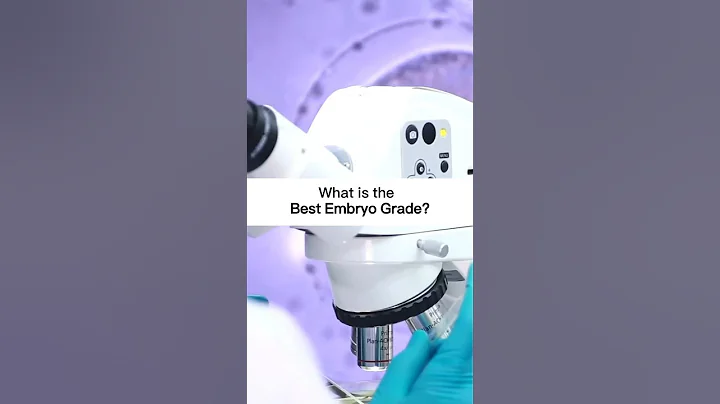 What Is The Best Embryo Grade?
