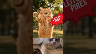 Márcia quero Leite no piresss piresss#fofuradodia #michaeljackson #gatos