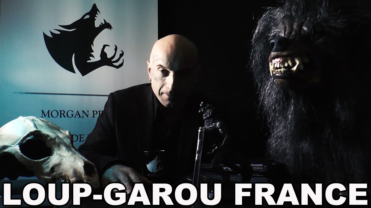 🐺 TÉMOIGNAGE 81 DES LOUPSGAROUS A MONTIGNYSURLOING FONTAINEBLEAU