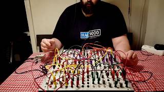 Celebrity Playing on a self playing patch, Serge 73-75 modular synth Net Worth