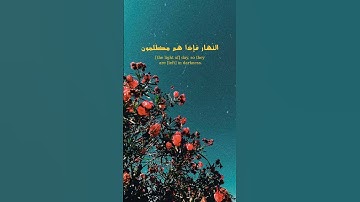 تلاوة هادئ للقارئ محمد أيوب
