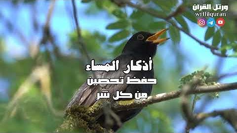 أذكار المساء | حفظ وتحصين من كل شر ومكروه 🌱