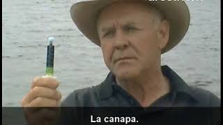 La vera storia della Marijuana (2009) ENG Sub ITA