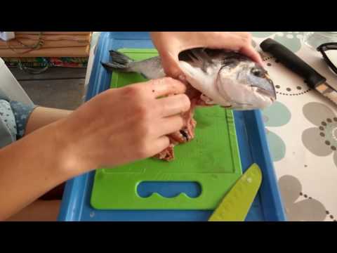 Video: Jak Určit čerstvost Ryby