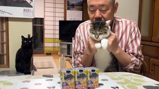 【コナンチョコエッグ開封！】今年もこの季節がやってきた！猫たちも見守る中、お目当てのフィギュアはゲットできるのか⁉️