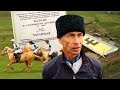 «Небесные кони» Татарстана: зачем возрождают татарскую породу лошадей?
