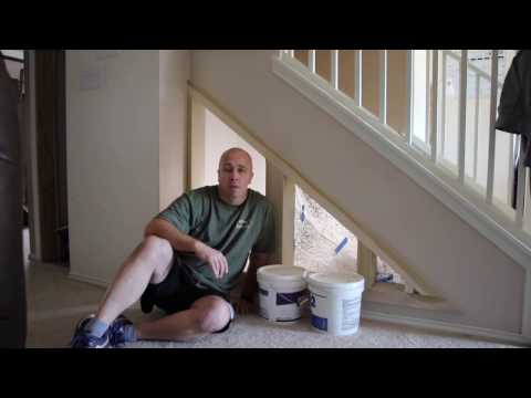 kennel-video-1