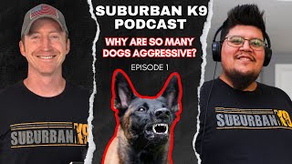 Why Are There So Many Aggressive Dogs? Balanced Dog Training Podcast Episode 1