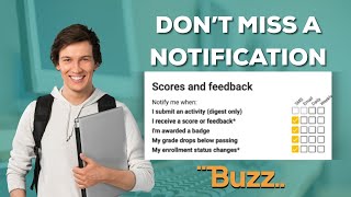 Stay Updated! How to Set Up Notifications in Buzz