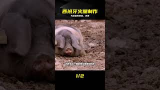 西班牙火腿怎么做的?先抹鹽再風干,過程太誘人了 #西班牙火腿,腌制,风干,美食制作