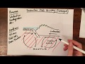 Destructive Plate Boundary