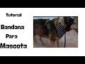 DIY-COMO HACER UNA BANDANA PARA TU MASCOTA/Tutorial de bandana para mascotas