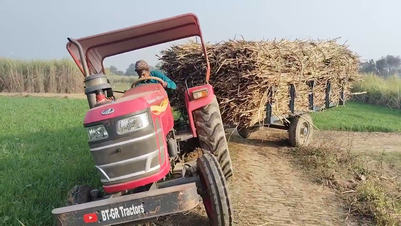 15 January 2026 farming lovers 🚜👬😈😈💯❤️