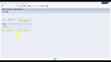 How to create a Batch Job Variant -  SAP Batch Job Part1