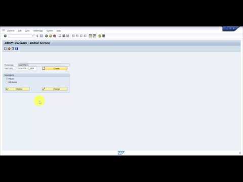 How to create a Batch Job Variant -  SAP Batch Job Part1