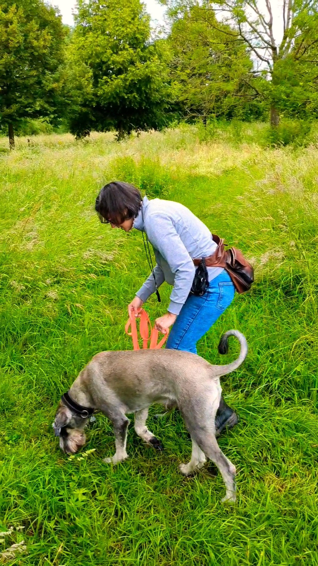 Ein besonderer Fall – Humphrey war in MEHREREN Hundeschulen (Statusbedingte Aggression)