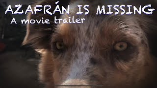 Azafrán is Missing- TRAILER HD by The Shindogs 153 views 2 years ago 1 minute, 3 seconds