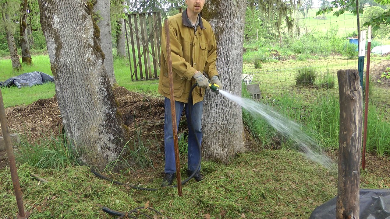 Hot Composting to Kill Weed Seeds From Lawn Mowing YouTube