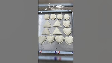 Dumpling machine samosa making machine empanada spring roll ravioli making machine #dumplingmachine