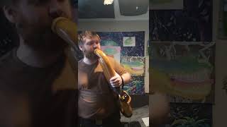 #didgeridoo and #humor #voice while #playing #quote  from #kungpow #enter the #fist