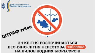 Запрет на рыбалку 2021 Украина. Какие штрафы за нарушения правил рыбальства? Где запрещено ловить рыбу