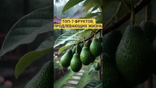 Топ-7 фруктов, продлевающих жизнь #health #healthy #здоровье #фрукты #долголетие #еда #питание #пп
