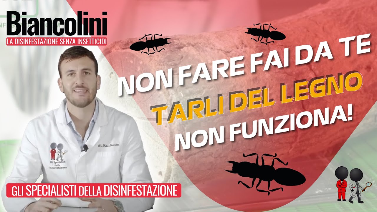 Tarli delle travi: perché il fai da te non funziona youtube Disinfestazione tarli fai da te