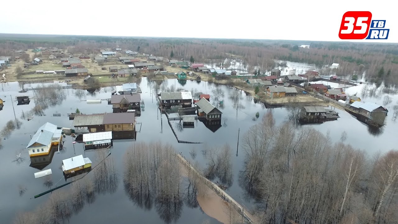 Мережа вологодская область. Мережа вологодская область. Мережа вологодская область. Мережа вологодская область. Мережа вологодская область.