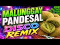 💥MALUNGGAY PANDESAL- DISCO REMIX 2026🍁