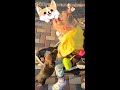 Вика радуется щенку 🐶 Аутизм уходит #shorts