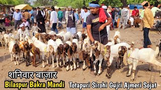 Saturday Market || 27/04/2024 || Bilaspur Bakra Mandi Rampur Bilaspur Uttar Pradesh