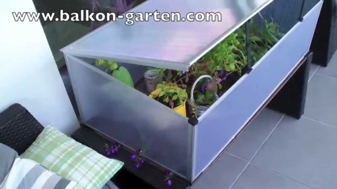 Fruhbeet Im Test Meine Meinung Zu Gunstigen Modellen Youtube